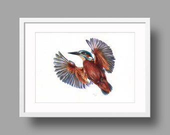 River Kingfisher original artwork | Ballpoint pen drawing on white recycled paper | Hummingbird portrait | Wall mounted home decor