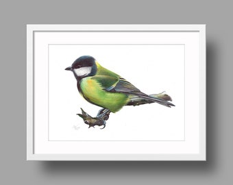 Great Tit Original Artwork | Ballpoint Pen Drawing on White Paper | Realistic Bird Portrait | Wall Mounted Home Decor