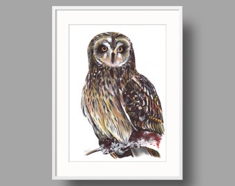 Short-eared Owl original artwork | Ballpoint pen drawing on white recycled paper | Realistic bird portrait | Wall mounted home decor