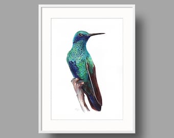 Sparkling Violetear original artwork | Ballpoint pen drawing on white recycled paper | Hummingbird portrait | Wall mounted home decor