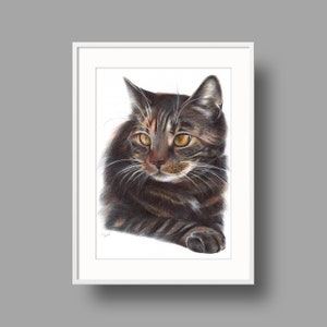 Domestic Cat original artwork. Ballpoint pen drawing on paper. Photorealistic animal portrait. Wildlife illustration. image 1