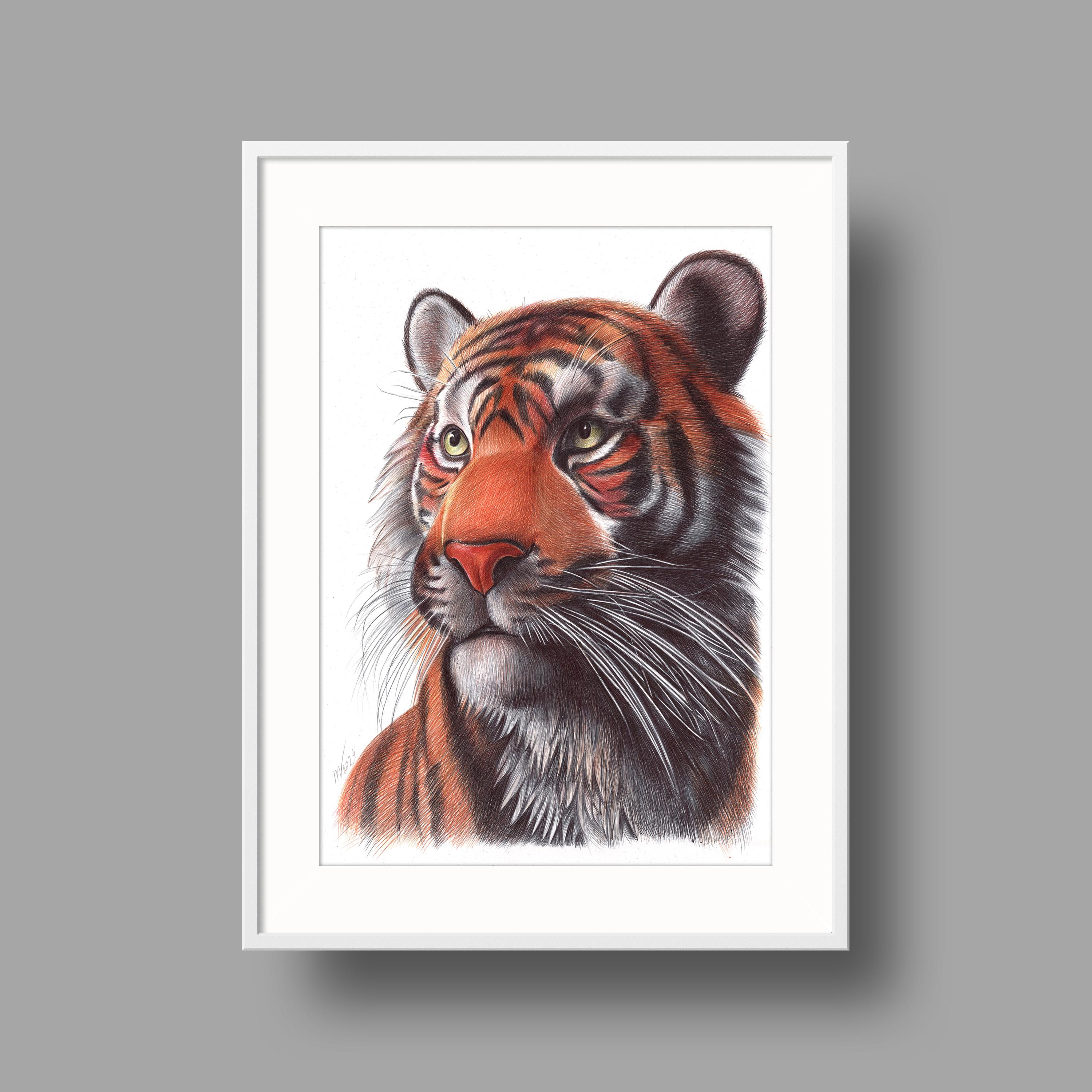 Tiger Original Artwork | Ballpoint Pen Drawing on White Recycled Paper | Realistic Animal Portrait | Wall Mounted Home Decor
