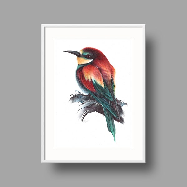 European Bee-eater original artwork | Ballpoint pen drawing on white recycled paper | Realistic bird portrait | Wall mounted home decor