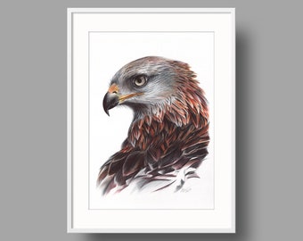 Red Kite original artwork | Ballpoint pen drawing on white recycled paper | Realistic bird portrait | Wall mounted home decor