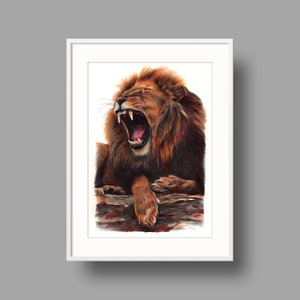 Opere d'arte originali del leone africano. Disegno a penna a sfera su carta. Ritratto di animali fotorealistico. Illustrazione della fauna selvatica.