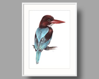 White-throated Kingfisher Original Artwork | Ballpoint Pen Drawing on White Paper | Realistic Bird Portrait | Wall Mounted Home Decor
