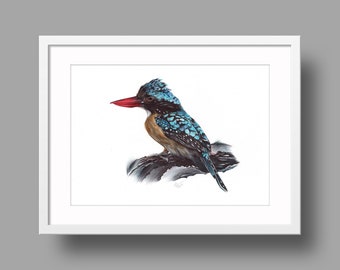 Banded Kingfisher Original Artwork | Ballpoint Pen Drawing on White Recycled Paper | Realistic Bird Portrait | Wall Mounted Home Decor