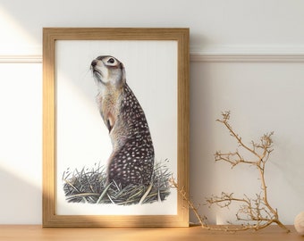 Speckled Ground Squirrel Art Print | Animal Postcard & Print | Photorealistic Bird Portrait | Wall Mounted Home Decor