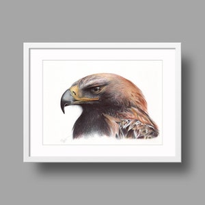 Opere d'arte originali dell'Aquila imperiale orientale / Disegno con penna a sfera su carta riciclata bianca / Ritratto realistico di uccello / Decorazioni per la casa montate a parete