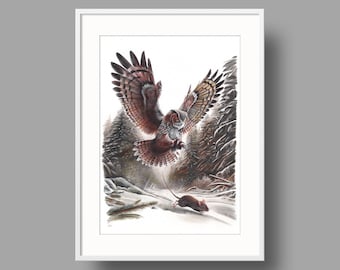 The Owl And The Mouse | Original artwork | Ballpoint pen drawing on white recycled paper | Wall mounted home decor