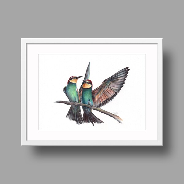 European Bee-eater original artwork | Ballpoint pen drawing on white recycled paper | Realistic bird portrait | Wall mounted home decor