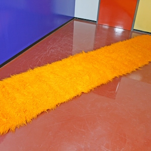 Puede incluir: Una alfombra larga, de color naranja brillante y esponjosa, se encuentra sobre un suelo rojo frente a una pared azul.