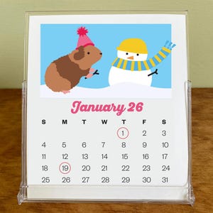 2026 CD Case Calendar, Guinea Pigs Calendar, Desk Calendar, Small Calendar, Gift, Teacher Gift, Mini Calendar, 2026 Calendar