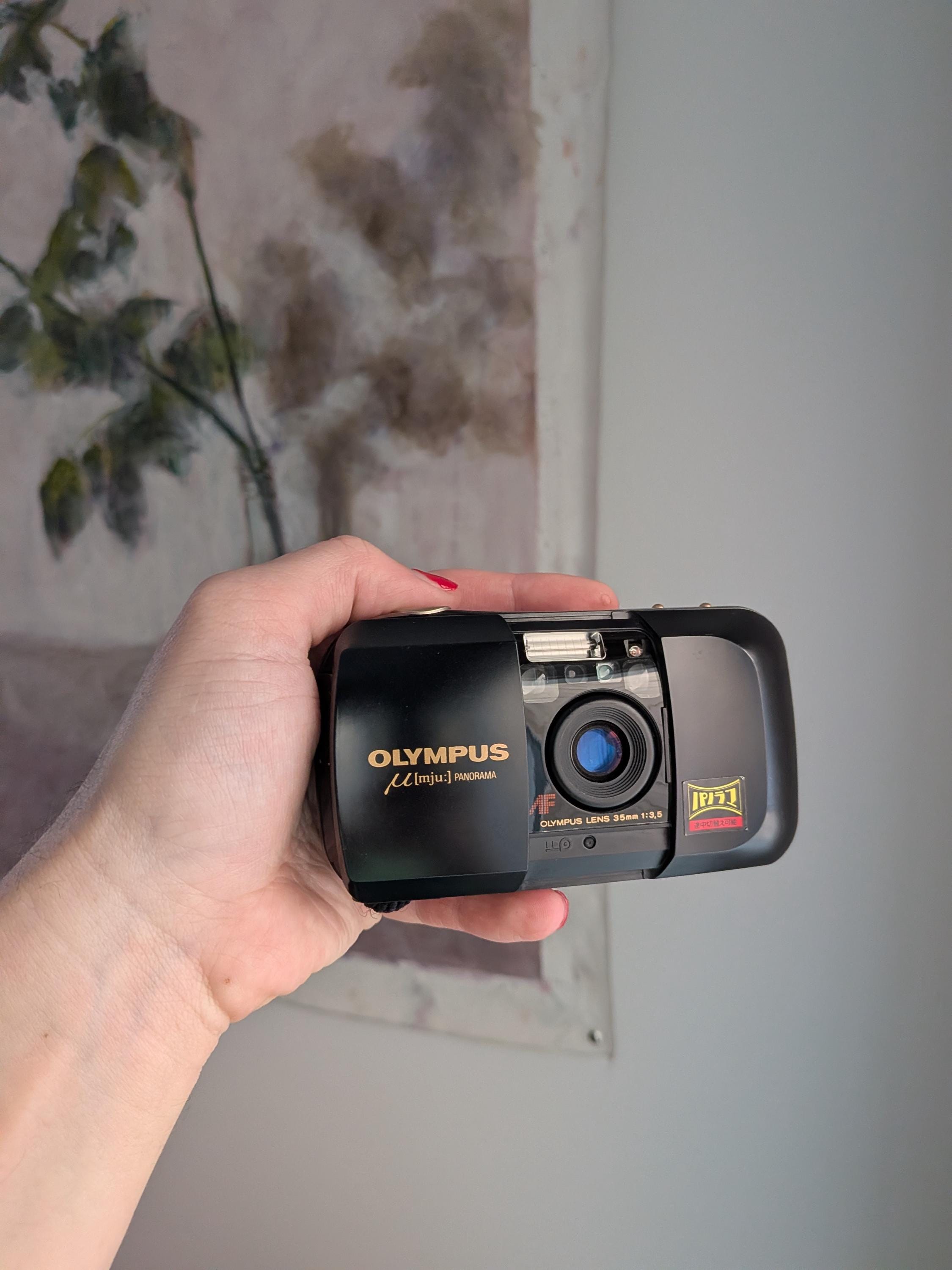 Olympus Mju Panorama - Etsy