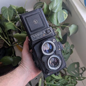 May include: A black Yashica Mat-124 G twin-lens reflex camera. The camera has two lenses, a textured body, and the Yashica logo. The camera is held in front of green leafy plants.