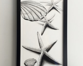 Charcoal shell and starfish