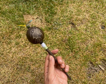jungle maracas with Hummingbird