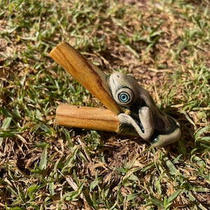 Unique Frog Kuripe