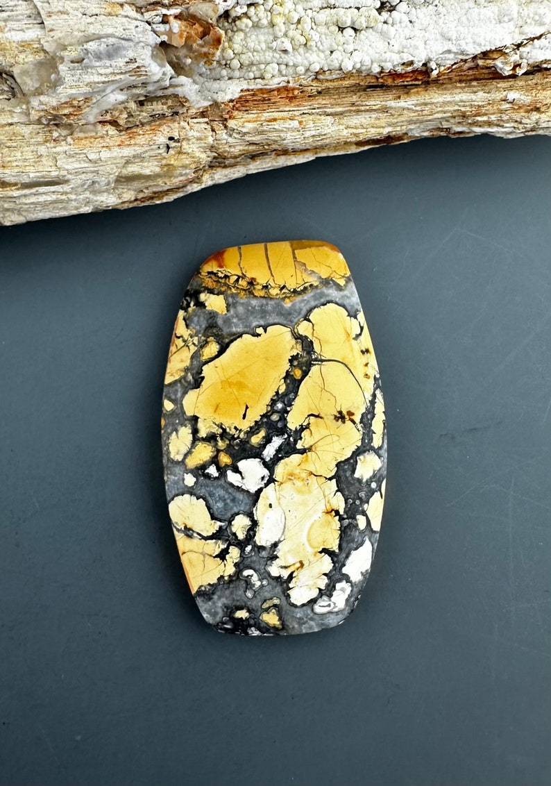 May include: A yellow, black, and white patterned stone cabochon. The stone has a smooth, polished surface and is oval shaped.