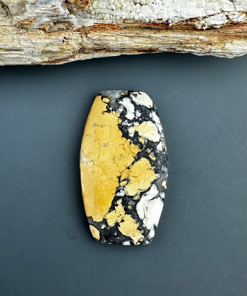 Puede incluir: Una piedra preciosa cabuj&oacute;n ovalada de color amarillo, negro y blanco con un patr&oacute;n de m&aacute;rmol.