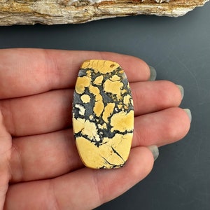 May include: A yellow and black patterned stone cabochon, with a smooth, polished surface. The stone is oval shaped and has a unique, abstract pattern.