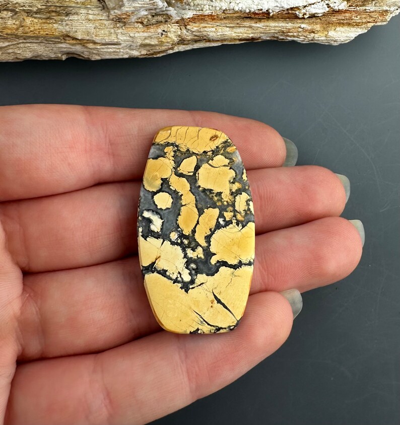 May include: A yellow and black patterned stone cabochon, with a smooth, polished surface. The stone is oval shaped and has a unique, abstract pattern.