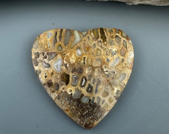 Agatized Fossil Coral Heart Cabochon - for jewelry making or collection