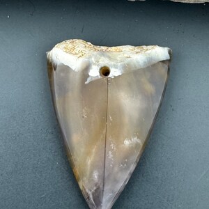 Chalcedony Sharktooth Bead - for jewelry making or collection