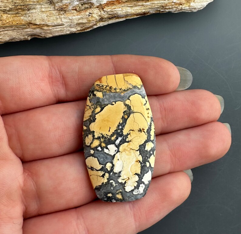 May include: A yellow and gray patterned oval-shaped stone cabochon. The stone has a unique and intricate pattern of yellow, gray, and white.