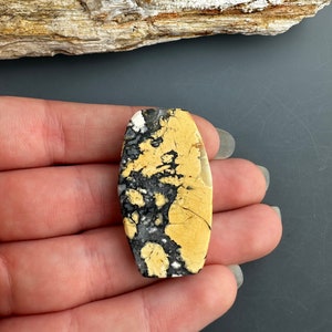 Puede incluir: Un cabuj&oacute;n de piedra con un patr&oacute;n amarillo y negro con una superficie lisa y pulida. La piedra tiene forma ovalada y un patr&oacute;n abstracto &uacute;nico.