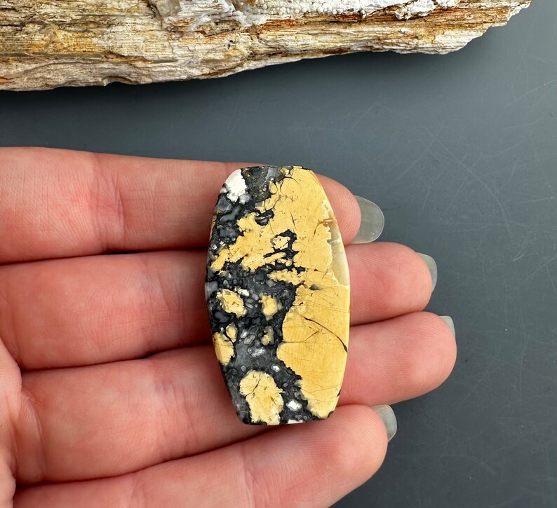 Puede incluir: Un cabuj&oacute;n de piedra con un patr&oacute;n amarillo y negro con una superficie lisa y pulida. La piedra tiene forma ovalada y un patr&oacute;n abstracto &uacute;nico.