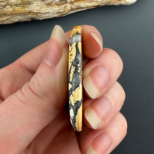 May include: A close-up of a polished, oval-shaped, yellow, black, and white stone cabochon. The stone has a unique, marbled pattern.