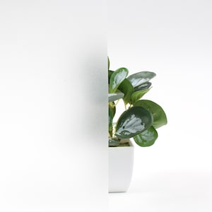 ROSEROSA Static Cling Frosted Window Privacy Film, UV Blocking Removable Window Stickers, Heat Control Window Coverings for Home & Office