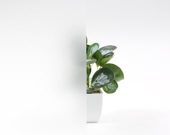ROSEROSA Static Cling Frosted Window Privacy Film, UV Blocking Removable Window Stickers, Heat Control Window Coverings for Home & Office