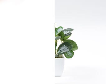 ROSEROSA Static Cling White Window Privacy Film, UV Blocking Removable Window Stickers, Heat Control Window Coverings for Home & Office
