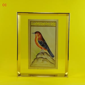 Mughal bird art painting on antique paper,Indian miniature painting in frame.Bird painting