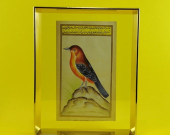 Mughal bird art painting on antique paper,Indian miniature painting in frame.Bird painting