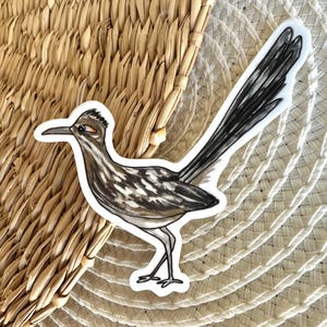 Roadrunner Sticker, Vinyl Die Cut Sticker, Original Illustration Graphic Art, Bird Linocut Print Design