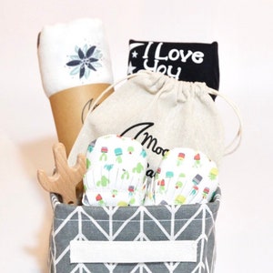 Organic Baby Gift Basket - Cactus & Succulent - moccasins, wooden toy, blanket, bodysuit, I love you to the moon and back