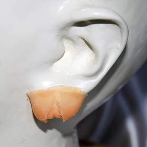 Ripped ear, torn out earring rip Deep & detailed latex prosthetic scar - Theater, Performance art, Costume, Cosplay, LARP, Halloween