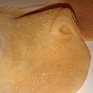 Peut inclure: Gros plan sur un objet textur&eacute; brun clair avec un bord incurv&eacute; et un petit d&eacute;tail en retrait. La surface a un aspect l&eacute;g&egrave;rement rugueux, avec de subtiles variations de couleur et de texture.