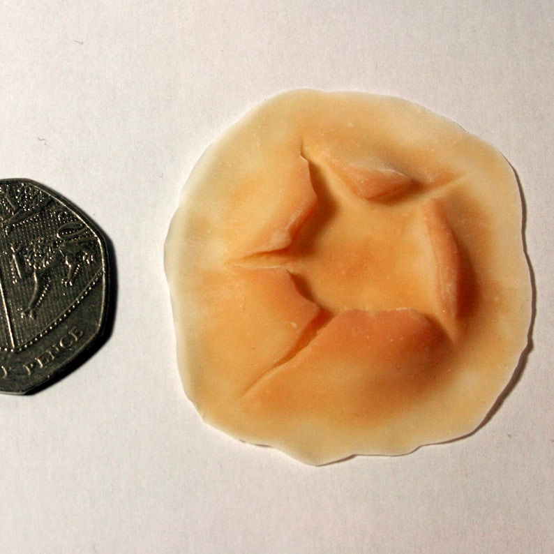 Bullet Stab Wound Deep & Detailed Latex Prosthetic Scar Theater, Am