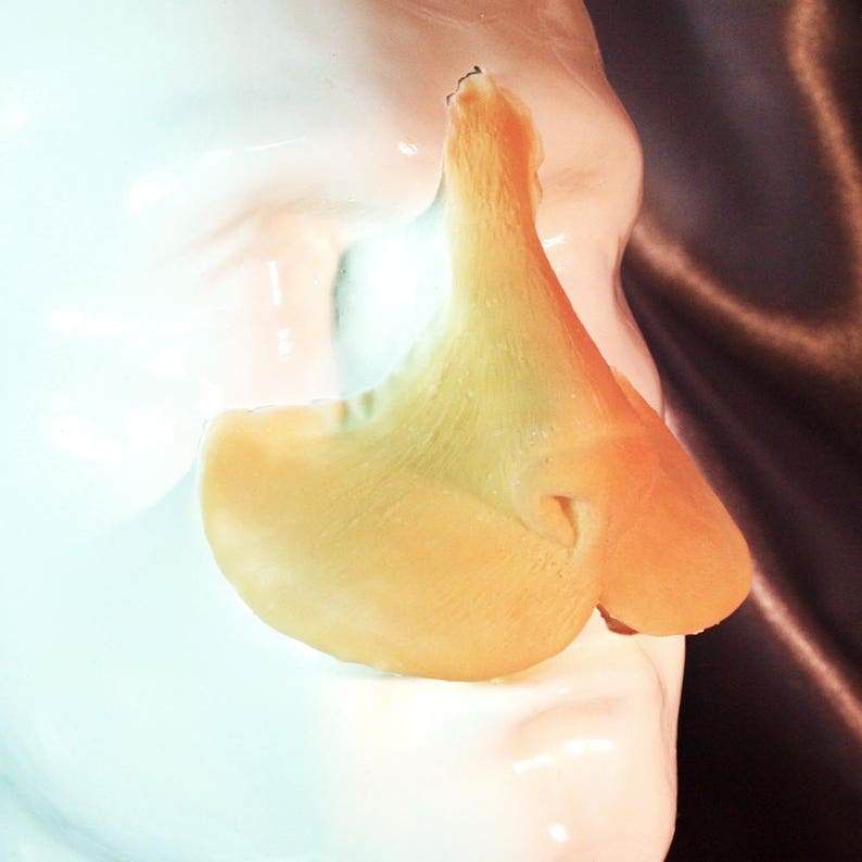 Peut inclure: Gros plan sur un mod&egrave;le anatomique de nez de couleur claire. Le mod&egrave;le est de couleur jaune p&acirc;le et semble &ecirc;tre fait d'un mat&eacute;riau lisse. Le nez est positionn&eacute; sur une surface blanche, avec un fond sombre.