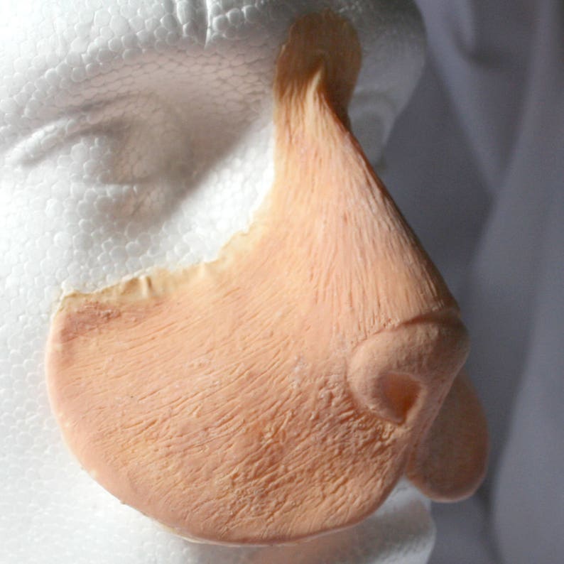 Peut inclure: Un nez proth&eacute;tique de couleur chair. Il pr&eacute;sente des d&eacute;tails de texture et des lignes fines, reproduisant la forme des narines et de l'ar&ecirc;te du nez. La proth&egrave;se est con&ccedil;ue pour &ecirc;tre fix&eacute;e sur un visage.