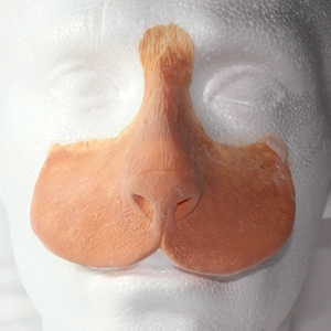 Peut inclure: Un postiche de nez et de l&egrave;vre sup&eacute;rieure en mat&eacute;riau couleur chair. La pi&egrave;ce est con&ccedil;ue pour s'adapter sur le nez et la l&egrave;vre sup&eacute;rieure, avec un nez arrondi et une surface textur&eacute;e. Probablement pour les costumes ou les effets sp&eacute;ciaux.