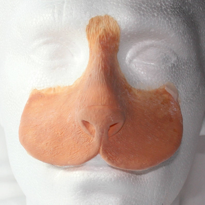 Peut inclure: Un postiche de nez et de l&egrave;vre sup&eacute;rieure en mat&eacute;riau couleur chair. La pi&egrave;ce est con&ccedil;ue pour s'adapter sur le nez et la l&egrave;vre sup&eacute;rieure, avec un nez arrondi et une surface textur&eacute;e. Probablement pour les costumes ou les effets sp&eacute;ciaux.