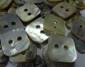 50 Square Shell Buttons