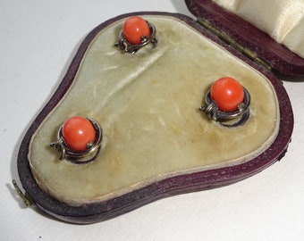 Antique Coral Dress Shirt Studs in Original box, Lewis & Son, Jewellery and Goldsmiths to the Queen, 32 Ship Street, Brighton, 19th Century