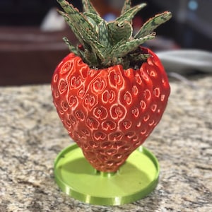 Strawberry Planter Pot