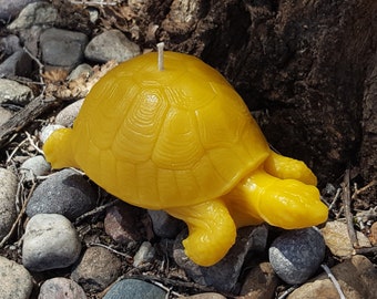 Pure Beeswax Large Tortoise, Tortoise, Candle, Candles, Beeswax, Handmade